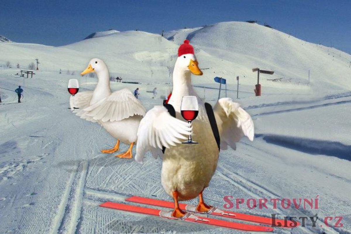 Výměna sponzora ochromila olympioniky. Pivo prý změnilo výkon Výměna sponzora ochromila olympioniky. Pivo prý změnilo výkon